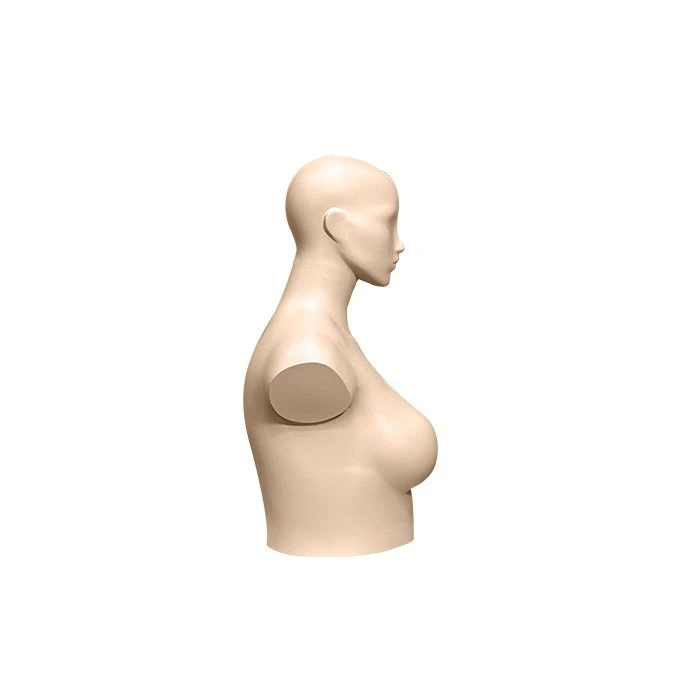 plastic mannequin bust 2 (2) plastic mannequin bust 2 (2)