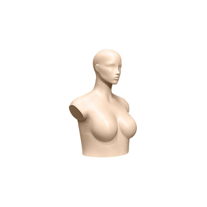 plastic mannequin bust 2 (1) plastic mannequin bust 2 (1)