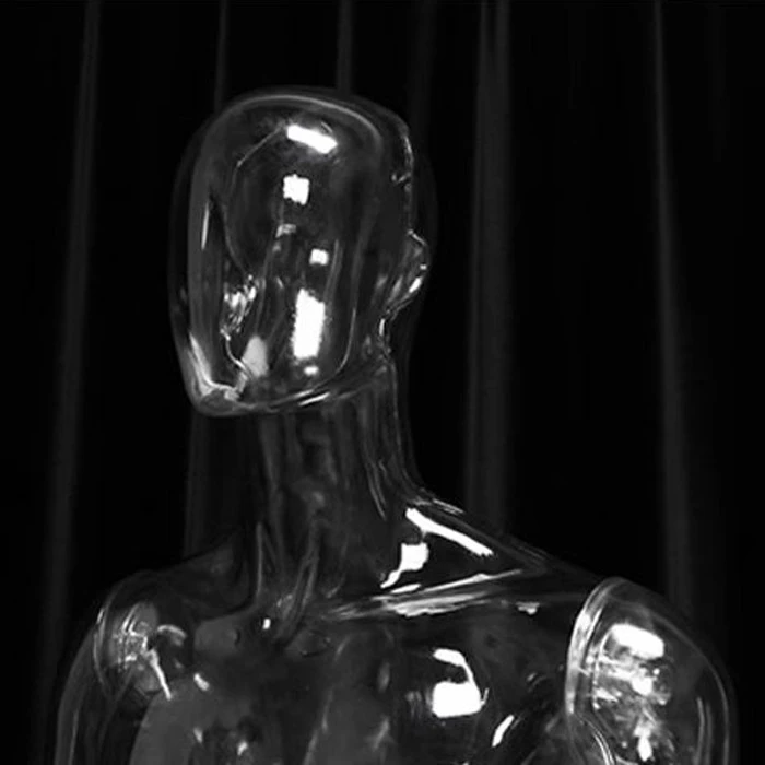 Transparent mannequin torso (8) Transparent mannequin torso (8)
